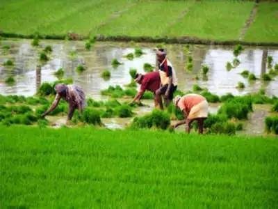 AGRI PROD-INDIAGRO-Organic Ferti